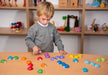 Boy playing with wooden Sorting Lady birds