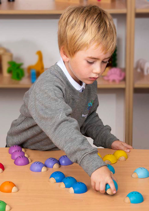 Boy playing with wooden Sorting Lady birds