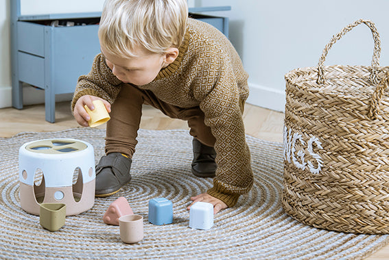 Tiny Bio Shape Sorter