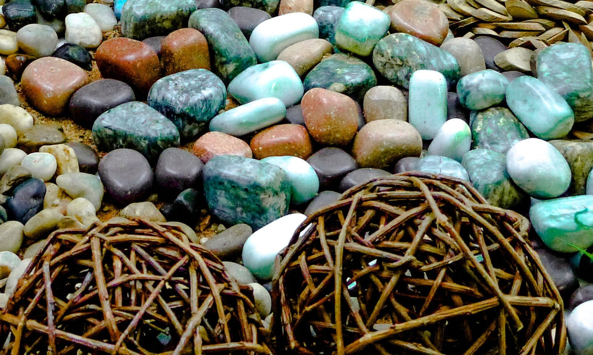 Natural Exploration Treasure Basket