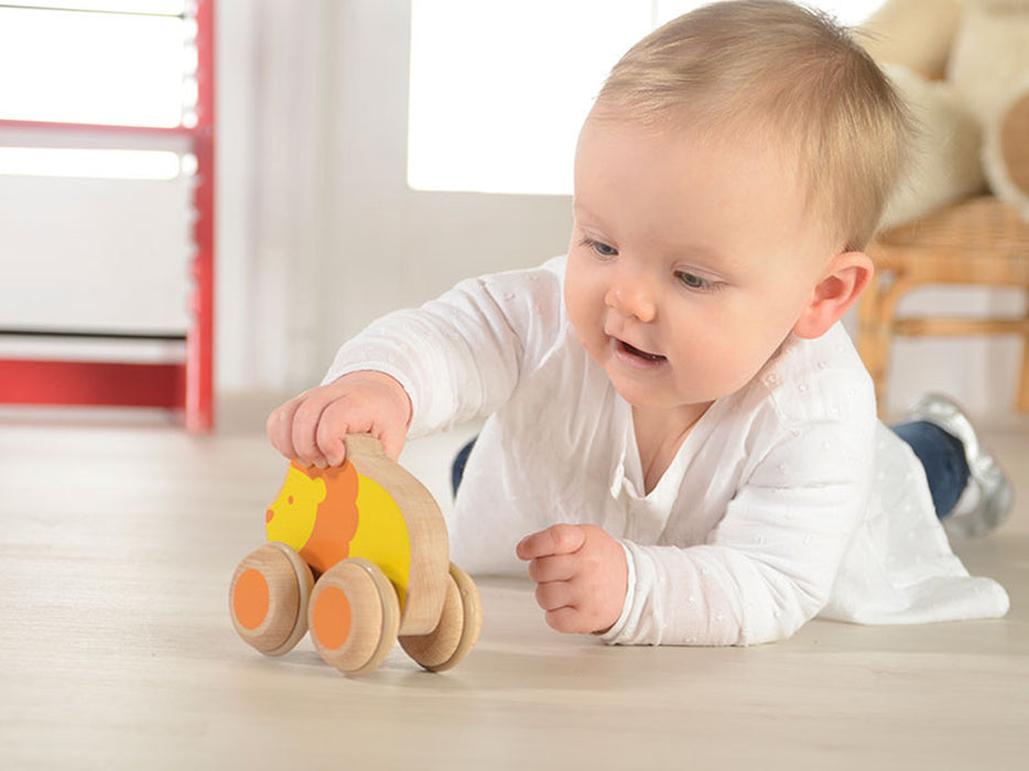 Baby playing with a push along lion