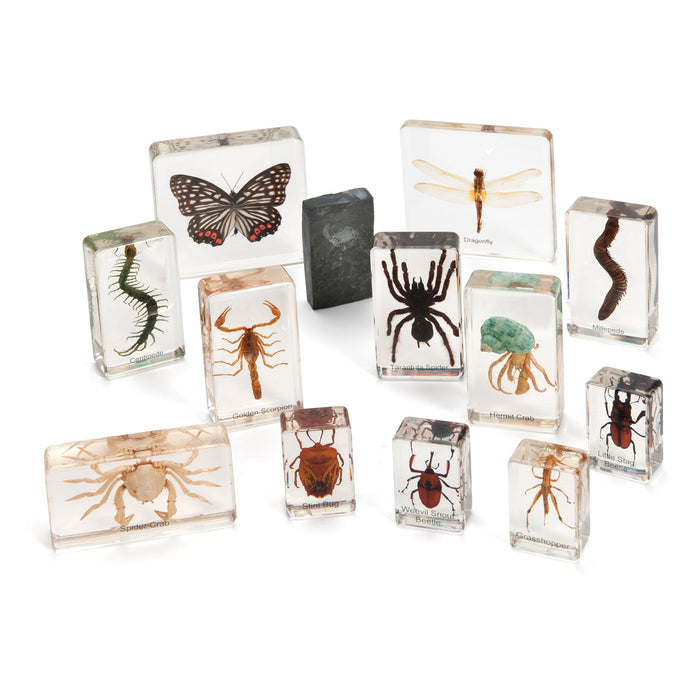 MINI BEAST ARTHROPODS (LARGE SET)