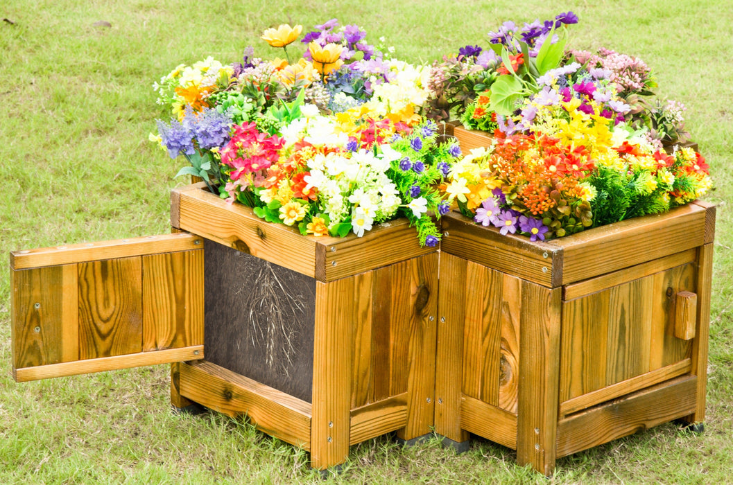 Root Viewing Planter