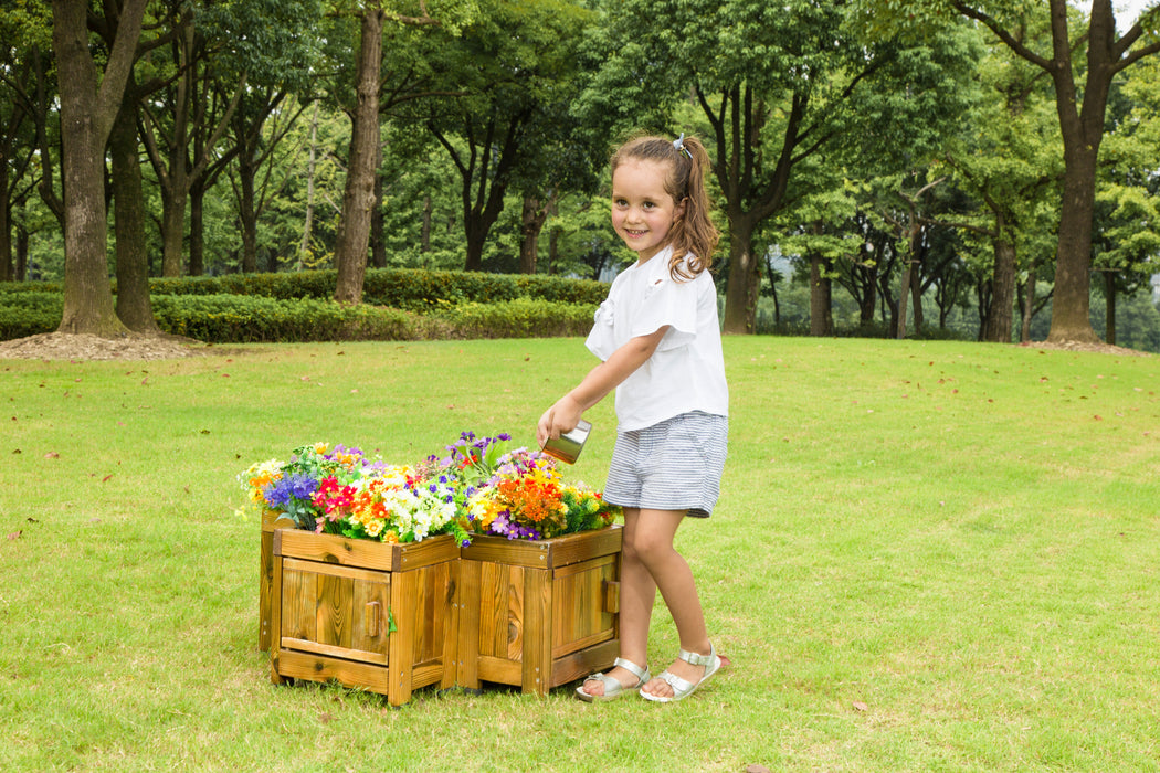 Root Viewing Planter