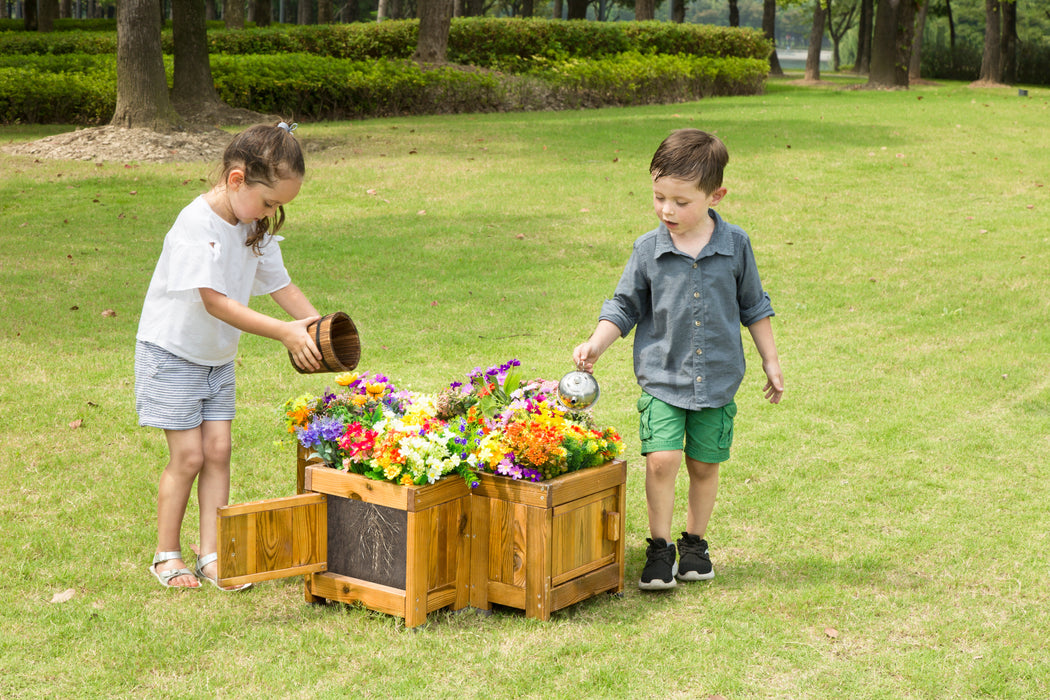 Root Viewing Planter