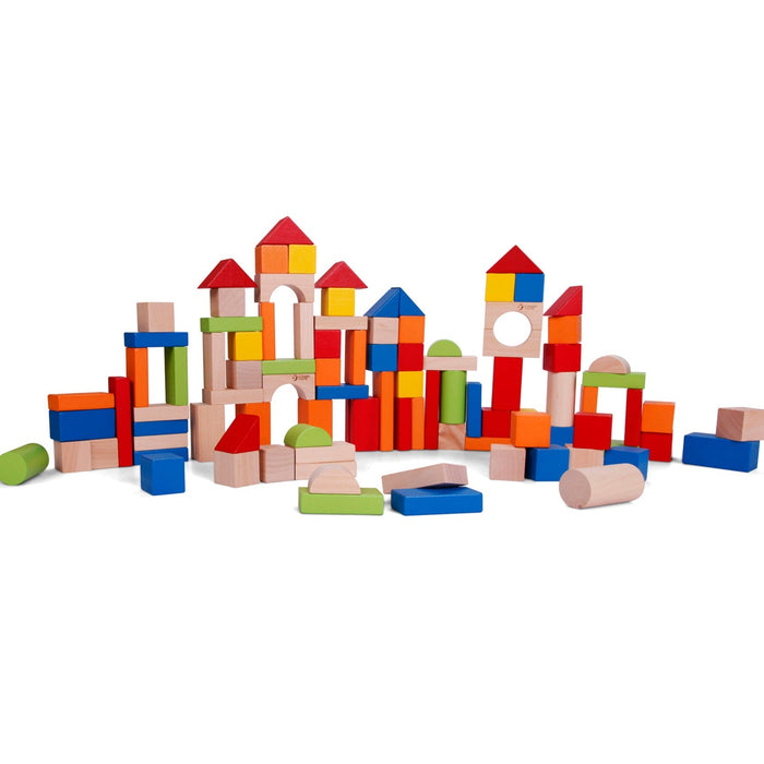 Classic World Building Blocks 100pc