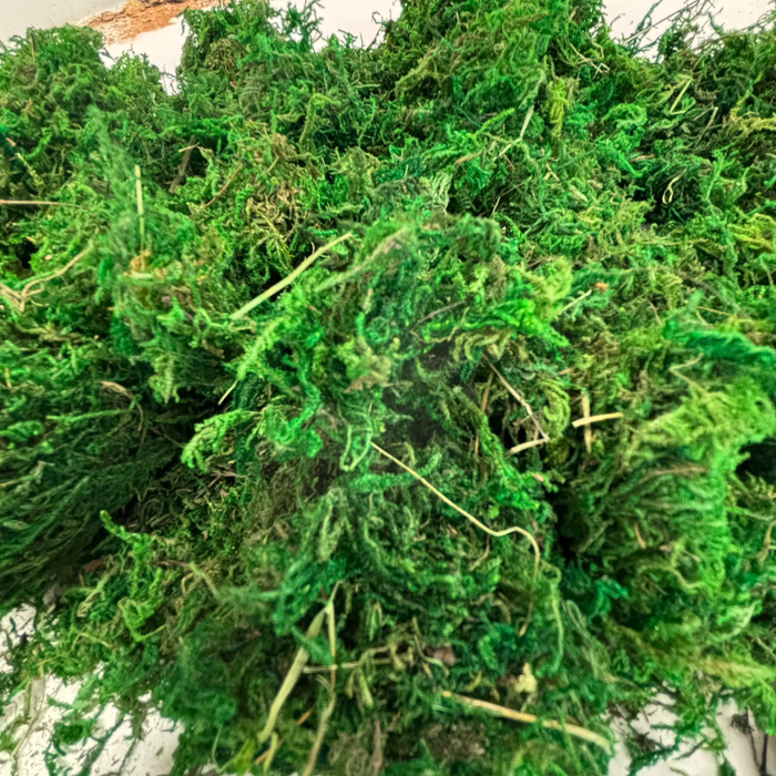 Natural Moss in a Bag - 100g