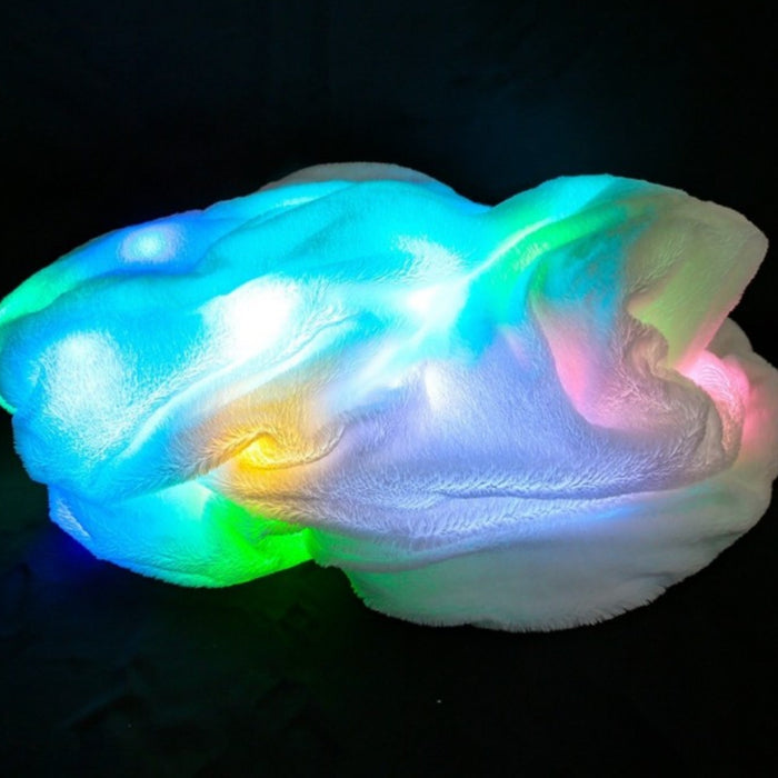 LED Light Blanket