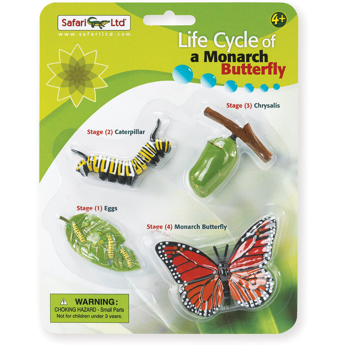 Safari Life Cycle of a Monarch Butterfly