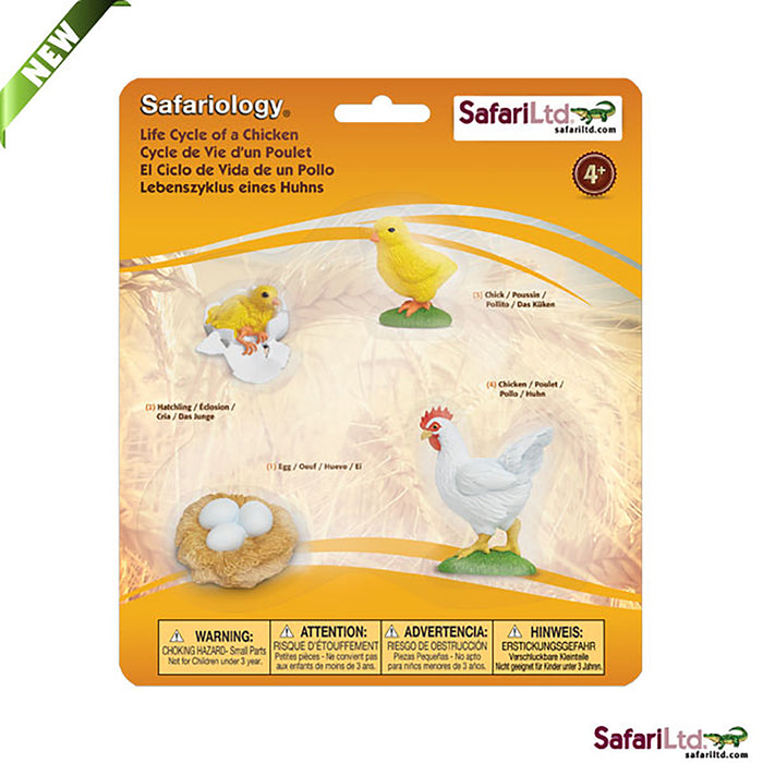 Safari Life Cycle of a Chicken | Educational Toys