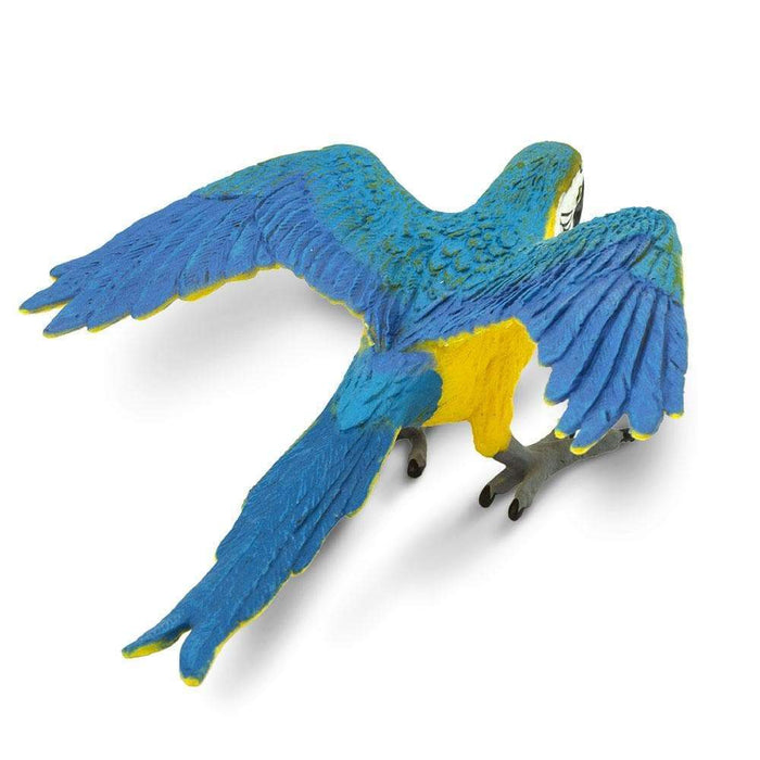 Safari Blue & Gold Macaw