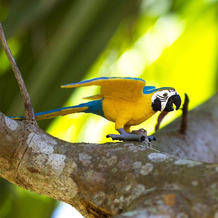 Safari Blue & Gold Macaw