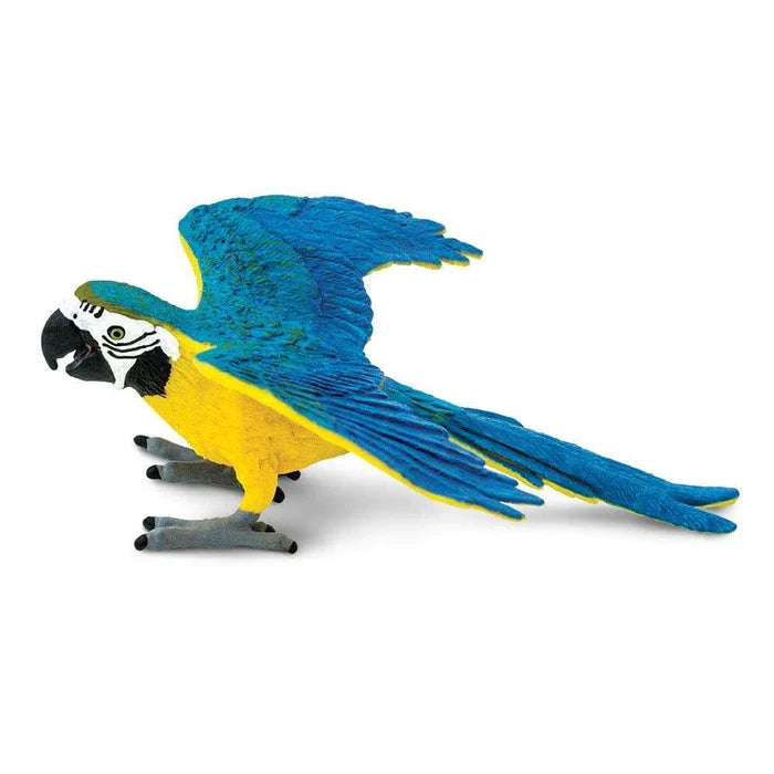 Safari Blue & Gold Macaw